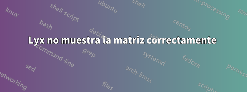 Lyx no muestra la matriz correctamente