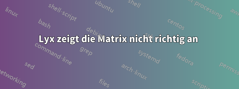 Lyx zeigt die Matrix nicht richtig an