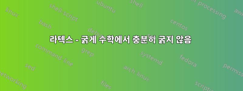 라텍스 - 굵게 수학에서 충분히 굵지 않음