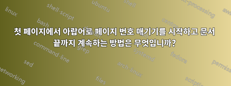 첫 페이지에서 아랍어로 페이지 번호 매기기를 시작하고 문서 끝까지 계속하는 방법은 무엇입니까?