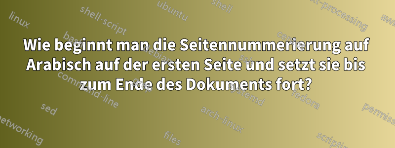 Wie beginnt man die Seitennummerierung auf Arabisch auf der ersten Seite und setzt sie bis zum Ende des Dokuments fort?