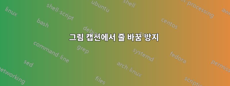 그림 캡션에서 줄 바꿈 방지