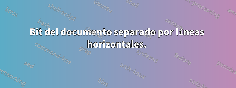 Bit del documento separado por líneas horizontales.
