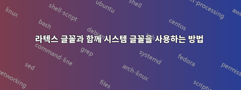라텍스 글꼴과 함께 시스템 글꼴을 사용하는 방법
