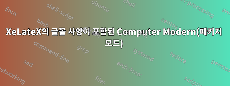 XeLateX의 글꼴 사양이 포함된 Computer Modern(패키지 모드)