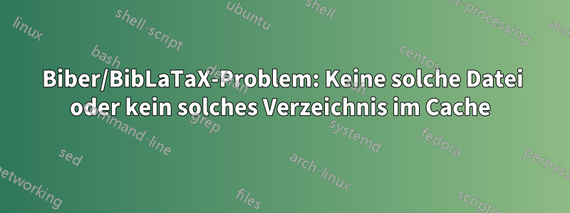 Biber/BibLaTaX-Problem: Keine solche Datei oder kein solches Verzeichnis im Cache 