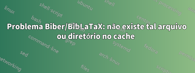 Problema Biber/BibLaTaX: não existe tal arquivo ou diretório no cache 