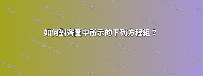 如何對齊圖中所示的下列方程組？