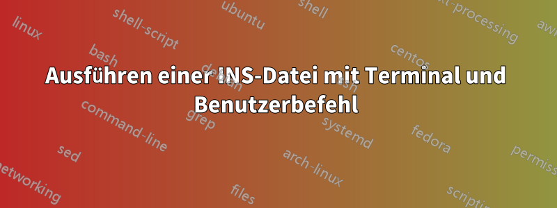 Ausführen einer INS-Datei mit Terminal und Benutzerbefehl