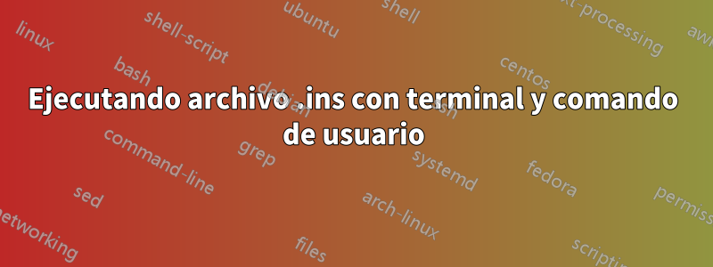 Ejecutando archivo .ins con terminal y comando de usuario