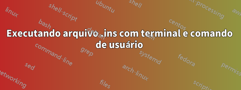 Executando arquivo .ins com terminal e comando de usuário