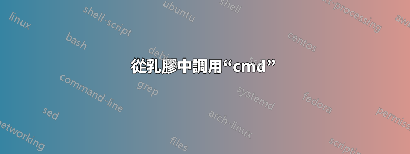 從乳膠中調用“cmd”