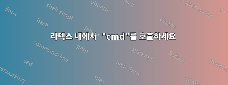 라텍스 내에서 "cmd"를 호출하세요