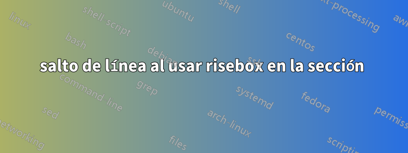 salto de línea al usar risebox en la sección