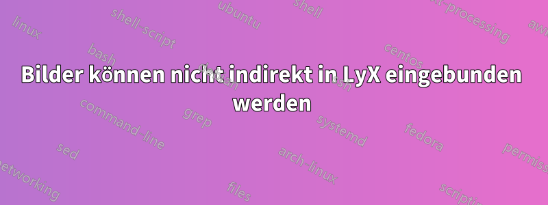 Bilder können nicht indirekt in LyX eingebunden werden