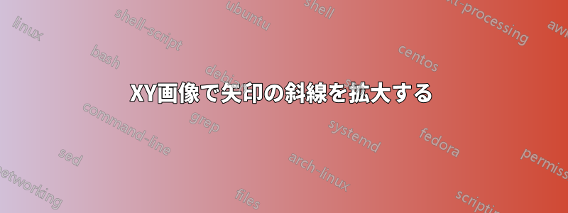 XY画像で矢印の斜線を拡大する