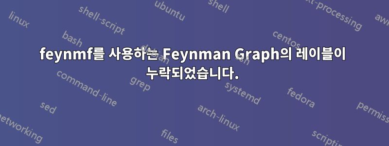 feynmf를 사용하는 Feynman Graph의 레이블이 누락되었습니다.