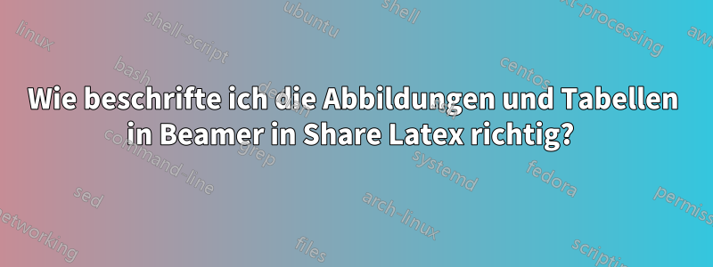 Wie beschrifte ich die Abbildungen und Tabellen in Beamer in Share Latex richtig? 