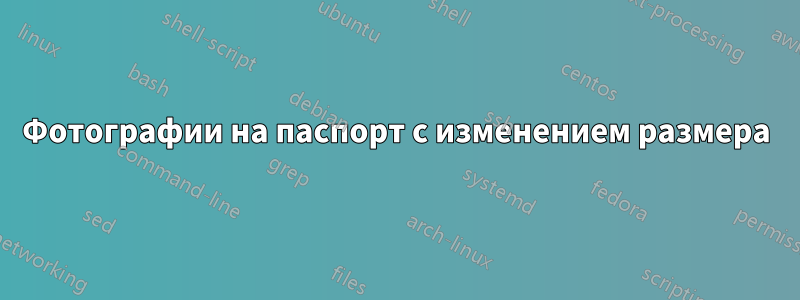 Фотографии на паспорт с изменением размера