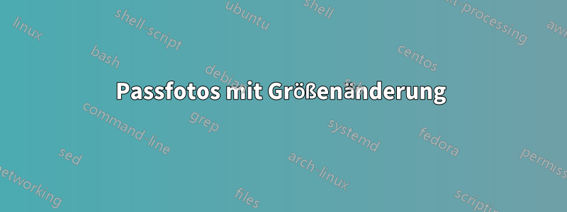 Passfotos mit Größenänderung