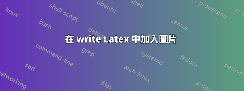 在 write Latex 中加入圖片