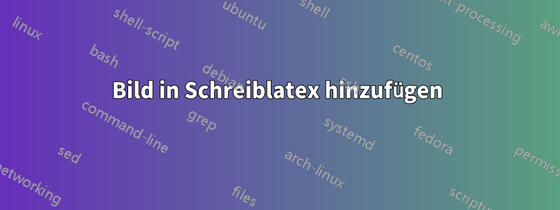 Bild in Schreiblatex hinzufügen