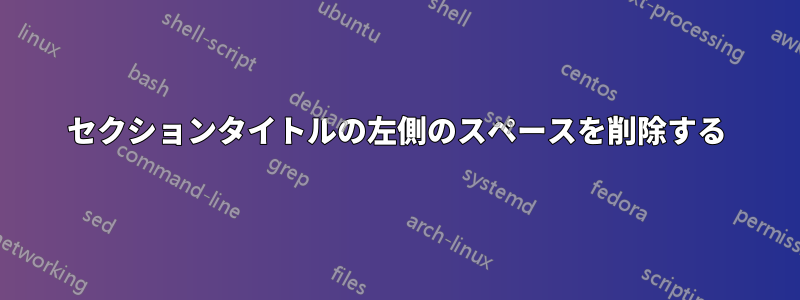 セクションタイトルの左側のスペースを削除する