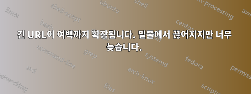 긴 URL이 여백까지 확장됩니다. 밑줄에서 끊어지지만 너무 늦습니다.