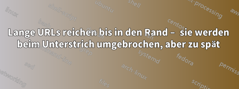 Lange URLs reichen bis in den Rand – sie werden beim Unterstrich umgebrochen, aber zu spät