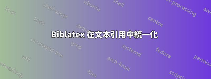 Biblatex 在文本引用中統一化