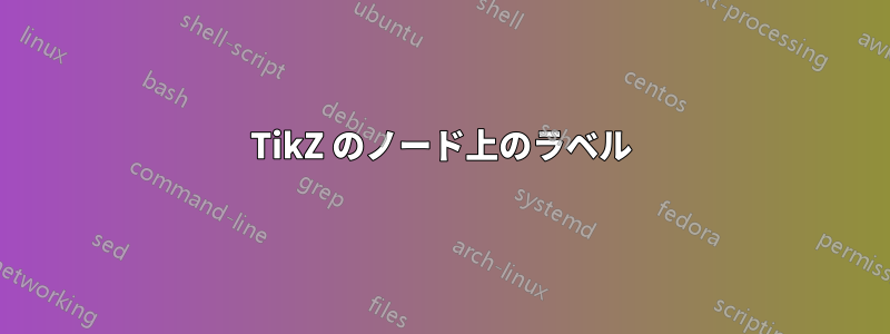 TikZ のノード上のラベル