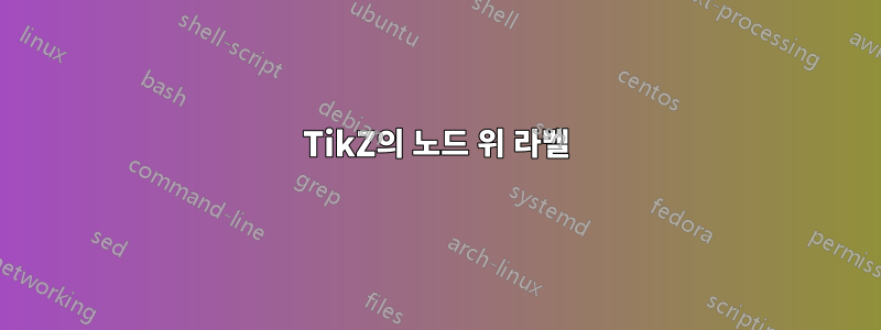 TikZ의 노드 위 라벨