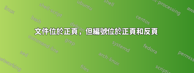 文件位於正頁，但編號位於正頁和反頁