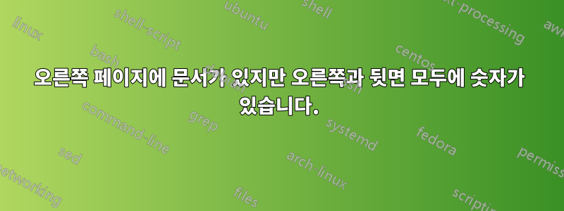 오른쪽 페이지에 문서가 있지만 오른쪽과 뒷면 모두에 숫자가 있습니다.