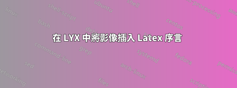 在 LYX 中將影像插入 Latex 序言