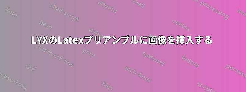 LYXのLatexプリアンブルに画像を挿入する