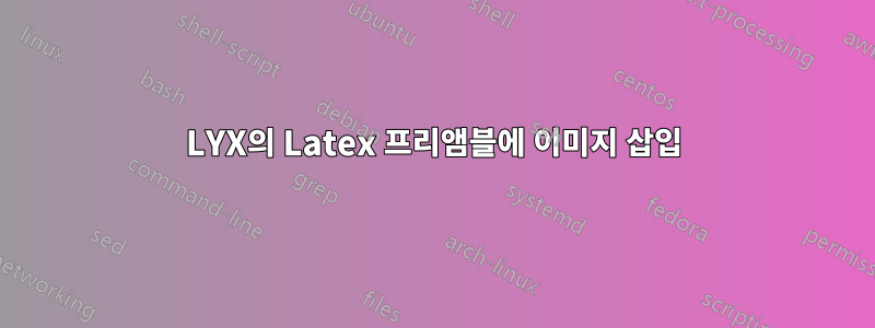 LYX의 Latex 프리앰블에 이미지 삽입