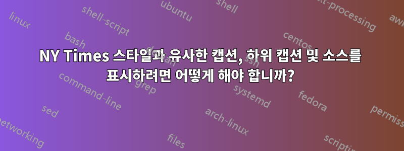 NY Times 스타일과 유사한 캡션, 하위 캡션 및 소스를 표시하려면 어떻게 해야 합니까?