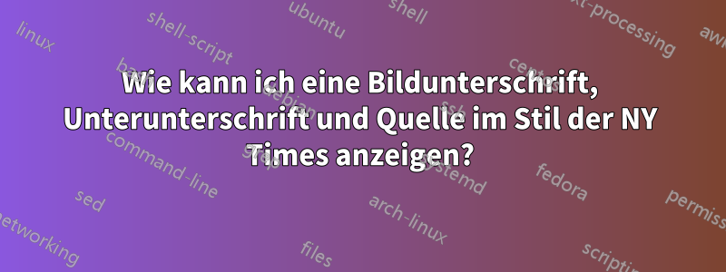 Wie kann ich eine Bildunterschrift, Unterunterschrift und Quelle im Stil der NY Times anzeigen?