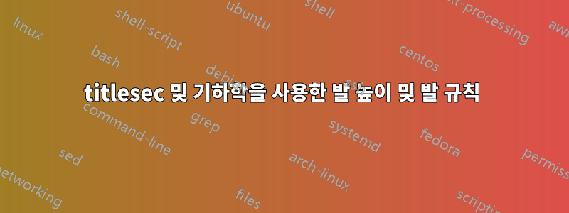 titlesec 및 기하학을 사용한 발 높이 및 발 규칙