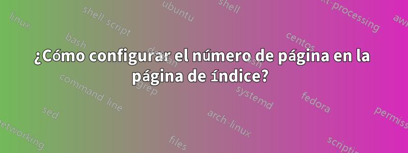 ¿Cómo configurar el número de página en la página de índice? 