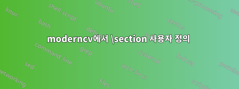 moderncv에서 \section 사용자 정의