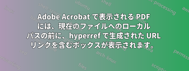 Adobe Acrobat で表示される PDF には、現在のファイルへのローカル パスの前に、hyperref で生成された URL リンクを含むボックスが表示されます。