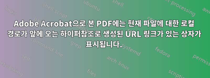 Adobe Acrobat으로 본 PDF에는 현재 파일에 대한 로컬 경로가 앞에 오는 하이퍼참조로 생성된 URL 링크가 있는 상자가 표시됩니다.