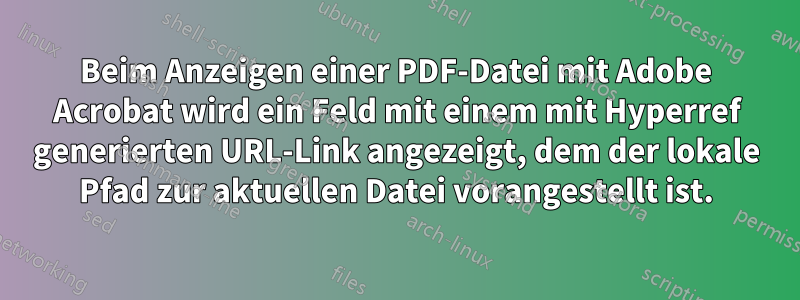 Beim Anzeigen einer PDF-Datei mit Adobe Acrobat wird ein Feld mit einem mit Hyperref generierten URL-Link angezeigt, dem der lokale Pfad zur aktuellen Datei vorangestellt ist.