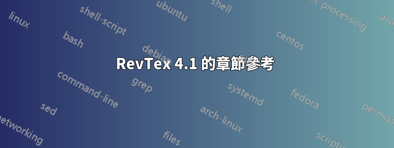 RevTex 4.1 的章節參考