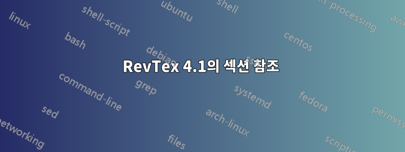 RevTex 4.1의 섹션 참조