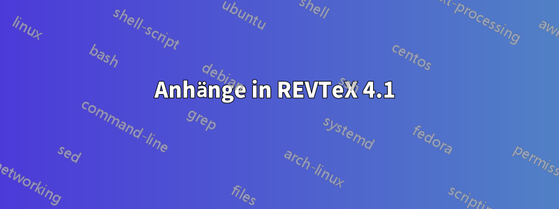 Anhänge in REVTeX 4.1 