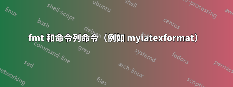 fmt 和命令列命令（例如 mylatexformat）