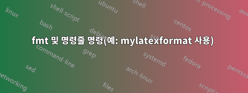 fmt 및 명령줄 명령(예: mylatexformat 사용)